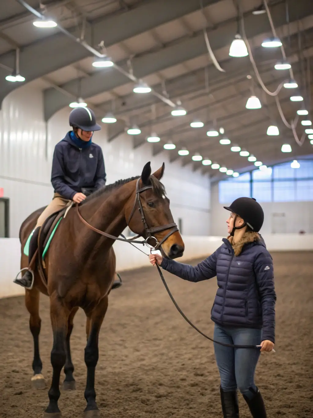 A skilled equestrian trainer working with a horse in a dressage training session, demonstrating advanced techniques.